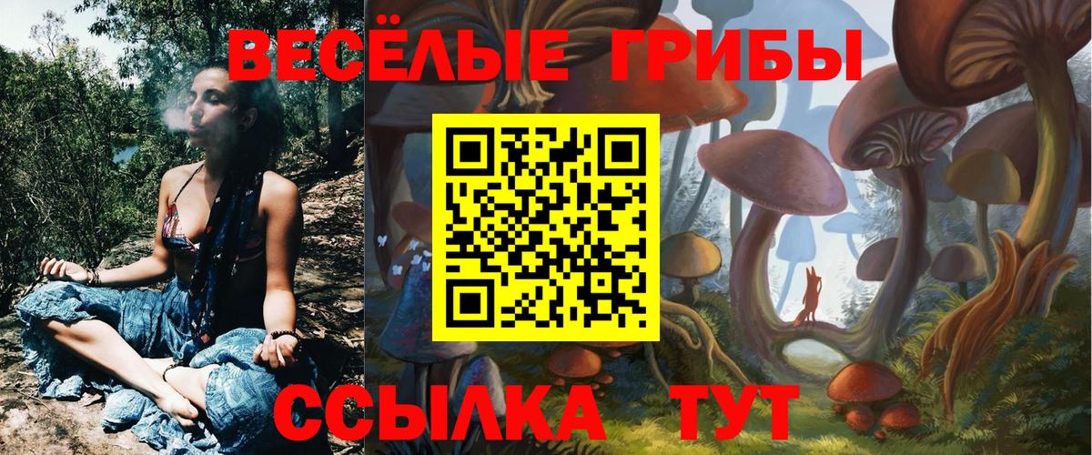 Псилоцибиновые грибы Psilocybe Кирово-Чепецк