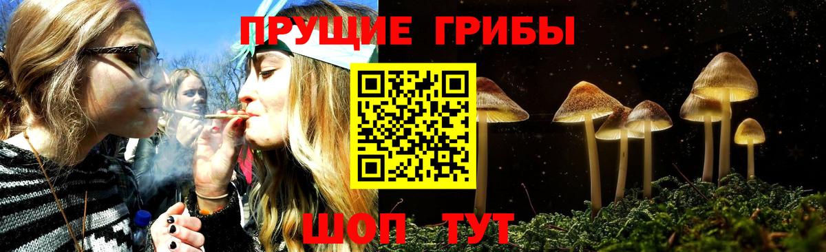 магазин  наркотиков  Вход с VPN  Кирово-Чепецк  Псилоцибиновые грибы Magic Shrooms 